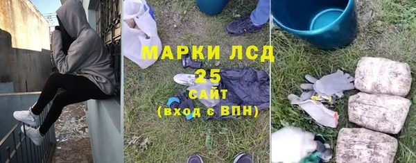 шишки Алексин