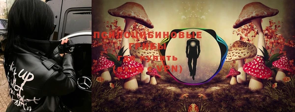 ALPHA PVP Алзамай