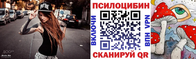 shop Telegram  Балашиха  Псилоцибиновые грибы GOLDEN TEACHER  где продают наркотики 